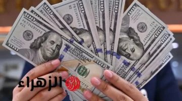 تحديثات السبت.. سعر صرف الجنيه المصري أمام الدولار في مطلع التعاملات الصباحية